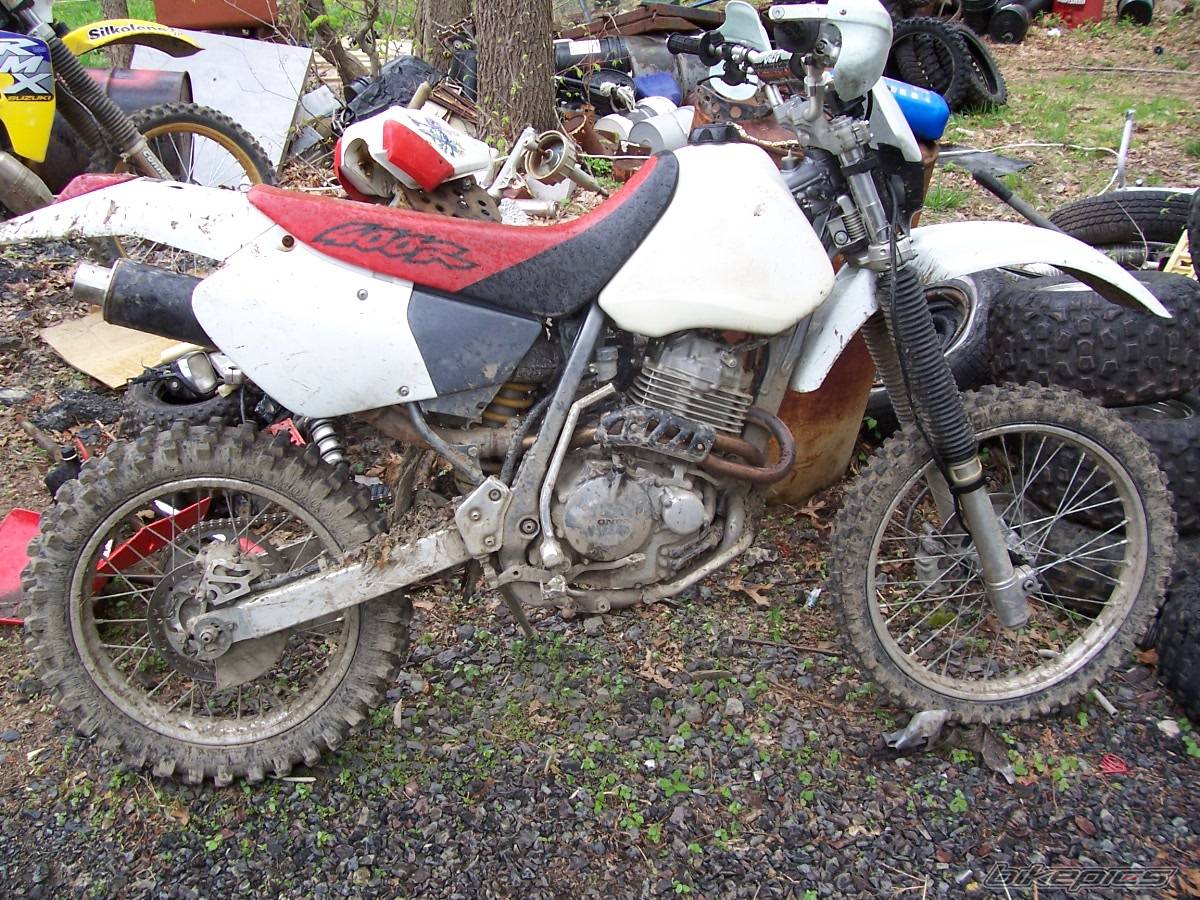 Bike Photo 342414