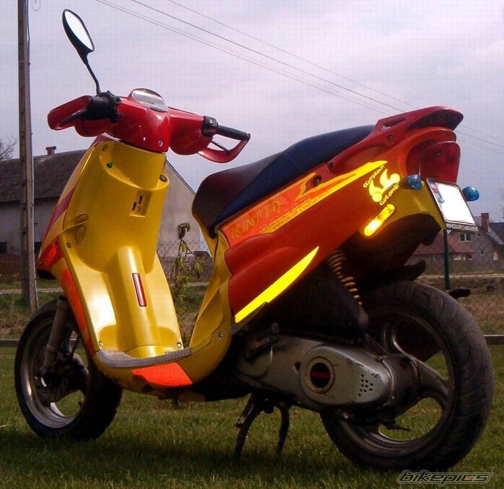 Photo 342452