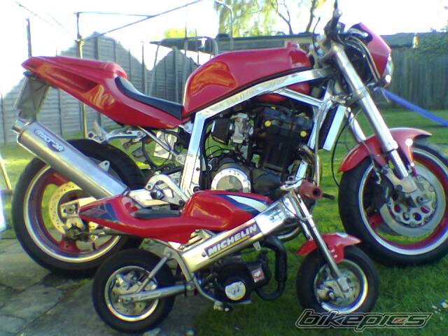 Bike Photo 342541