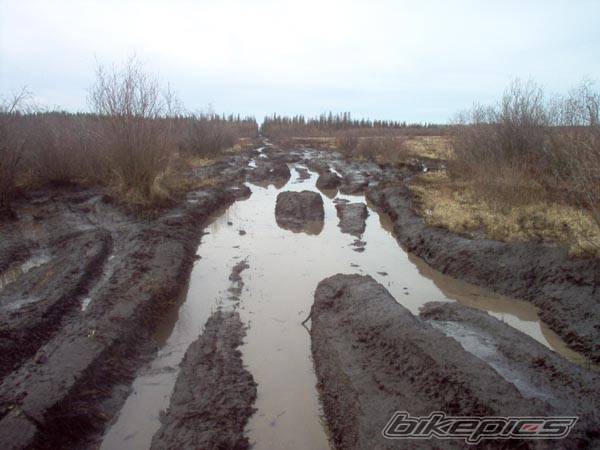 Photo 342666