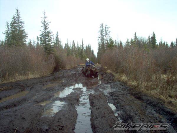 Photo 342668