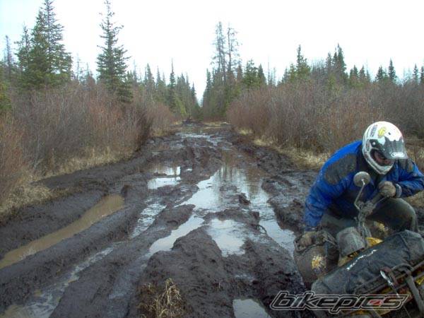 Photo 342670