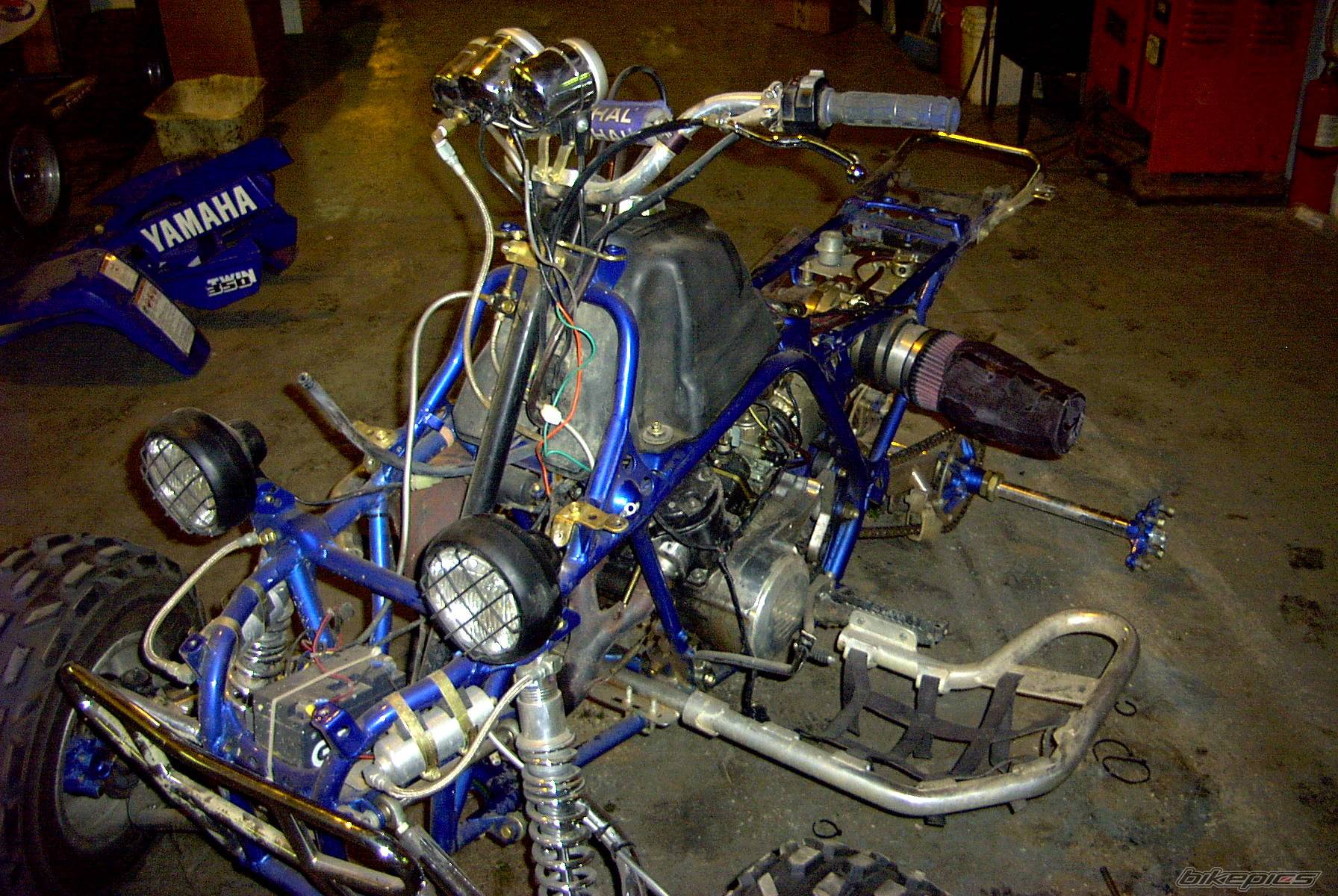 Photo 342703