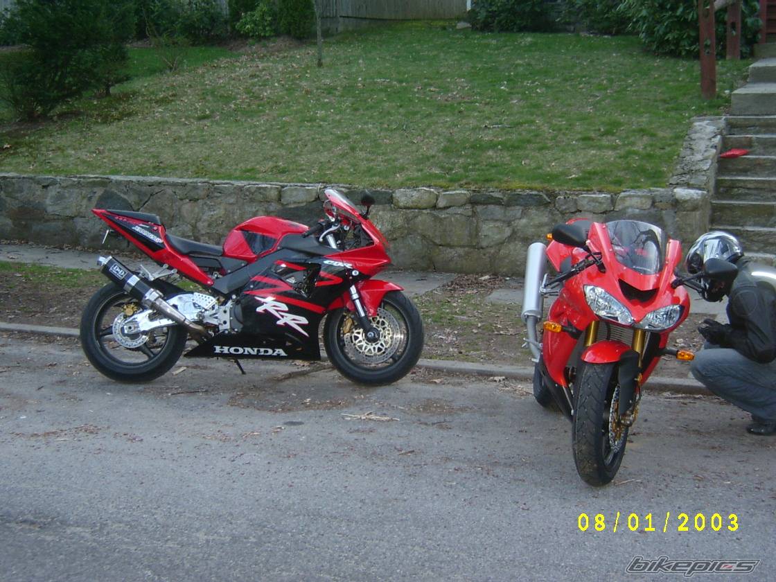 Photo 342792