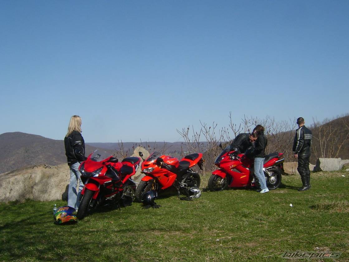 Photo 342799