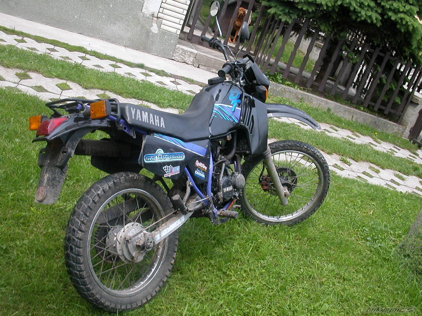 Photo 342813