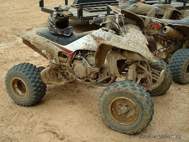 Bike Photo 342881