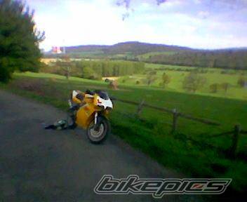 Photo 342937