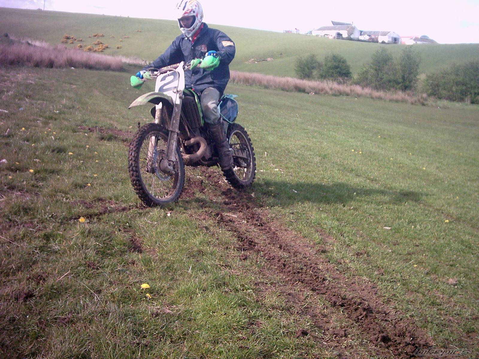 Photo 342979