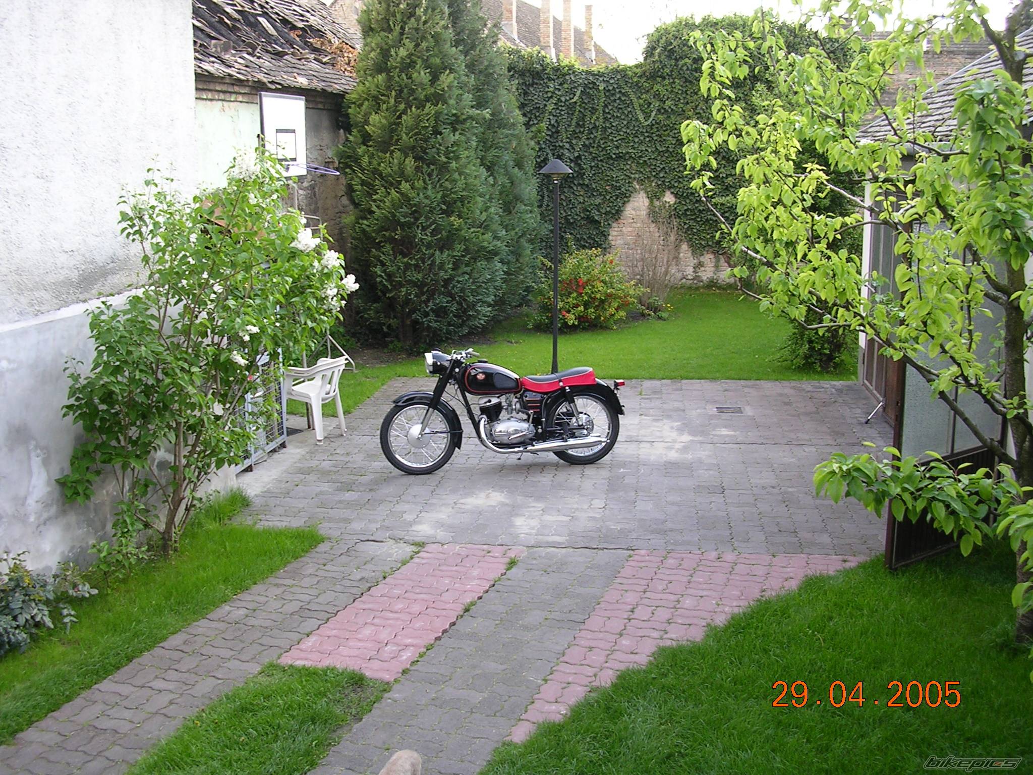Photo 343012