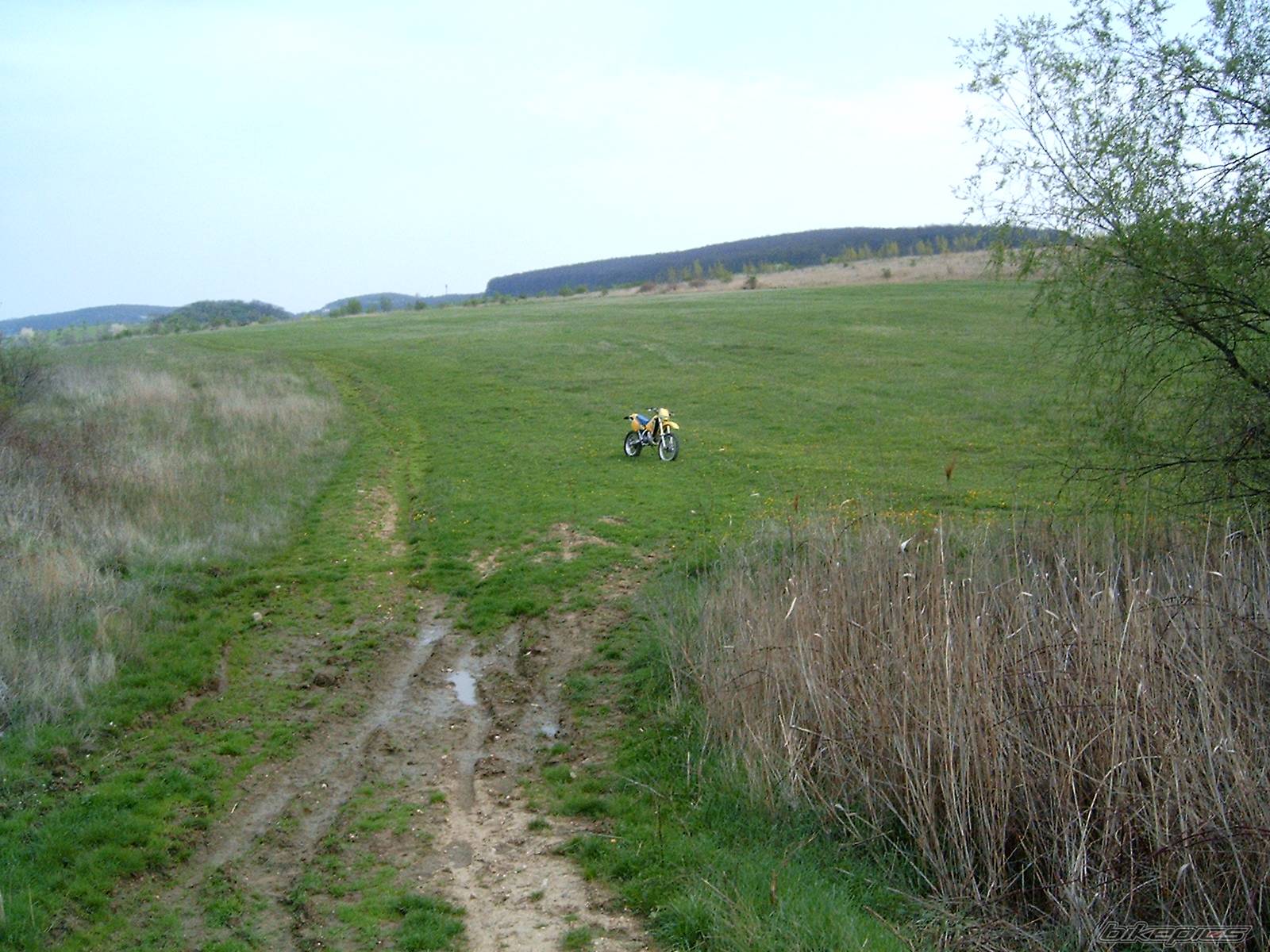 Bike Photo 343089