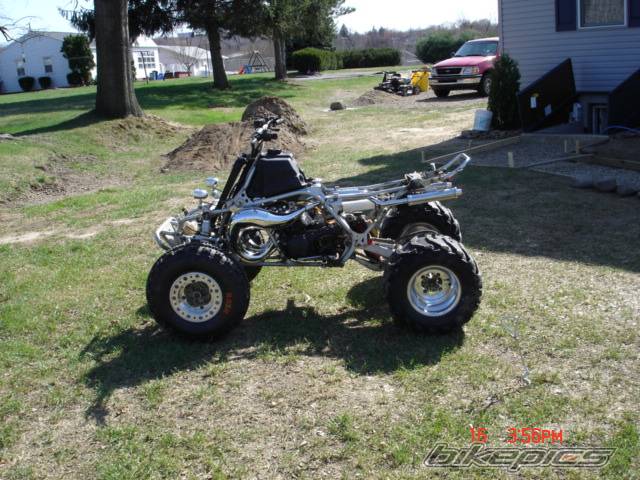 Photo 343295