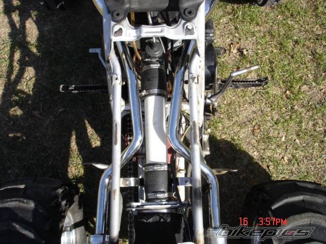 Photo 343297