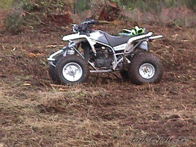 Photo 343353