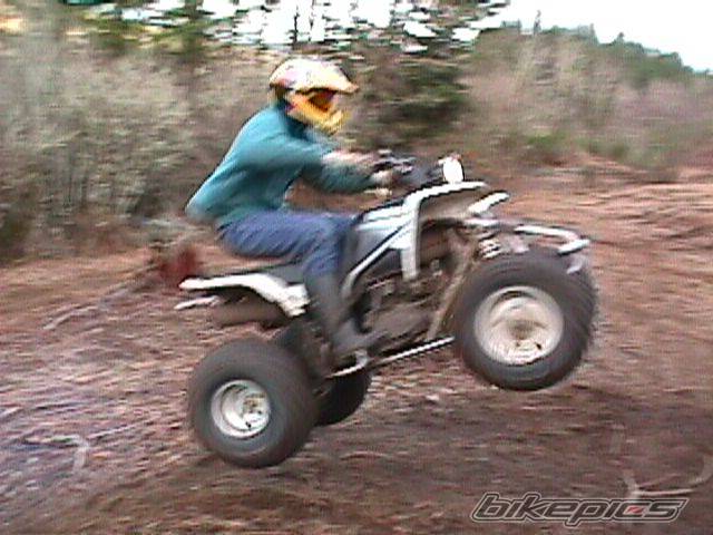 Photo 343354