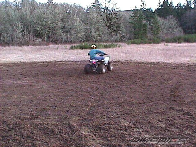 Photo 343365