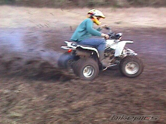 Bike Photo 343366