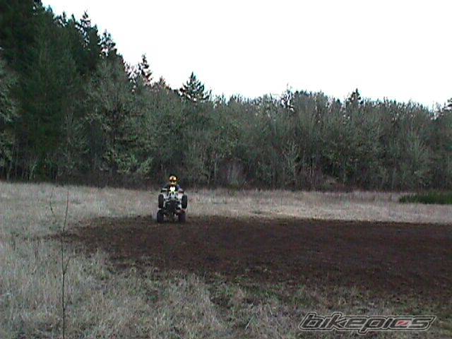 Photo 343368
