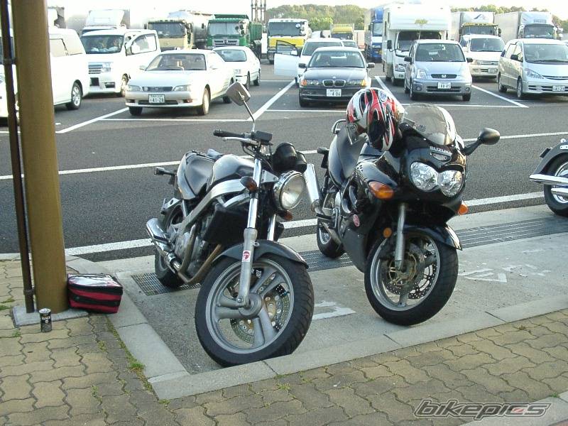 Photo 343579