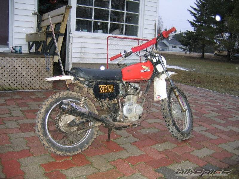 Bike Photo 343593