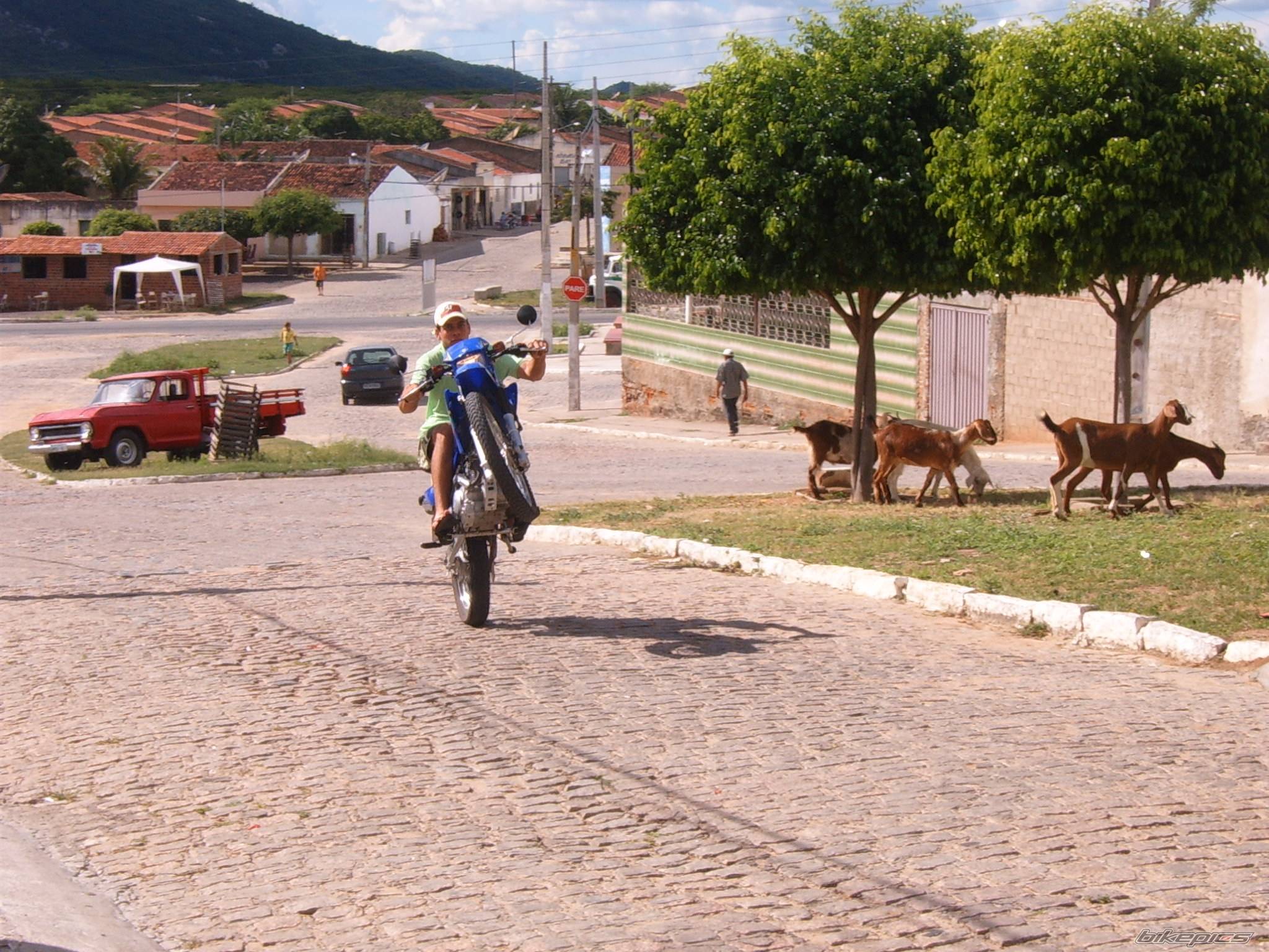 Bike Photo 343832