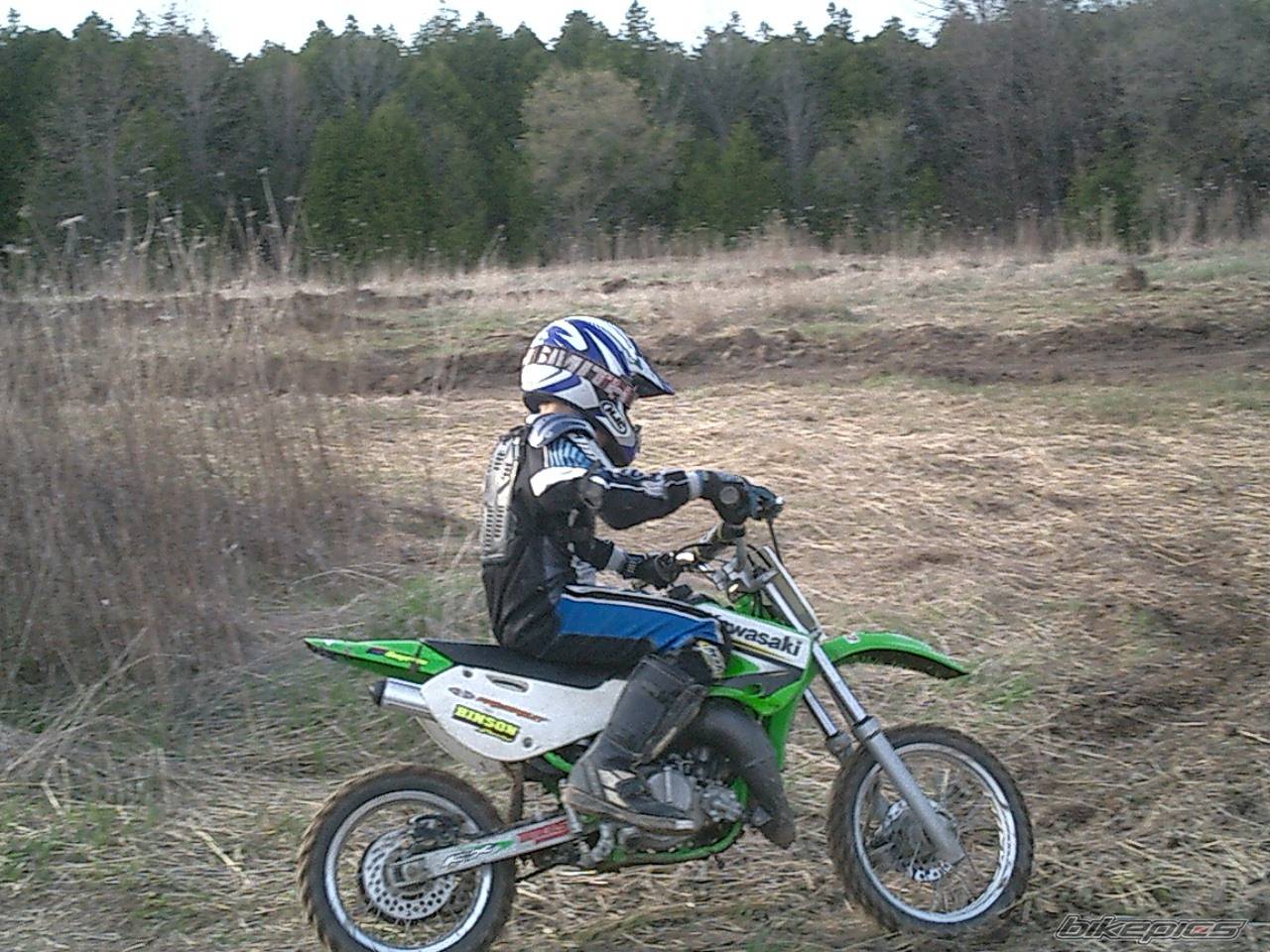 Photo 343835