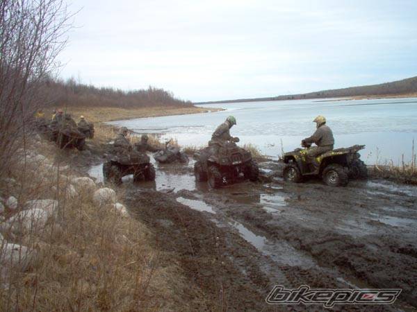 Photo 343840
