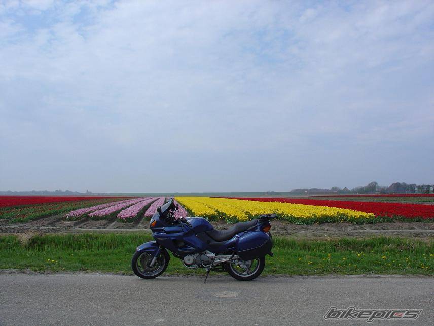 Bike Photo 344204