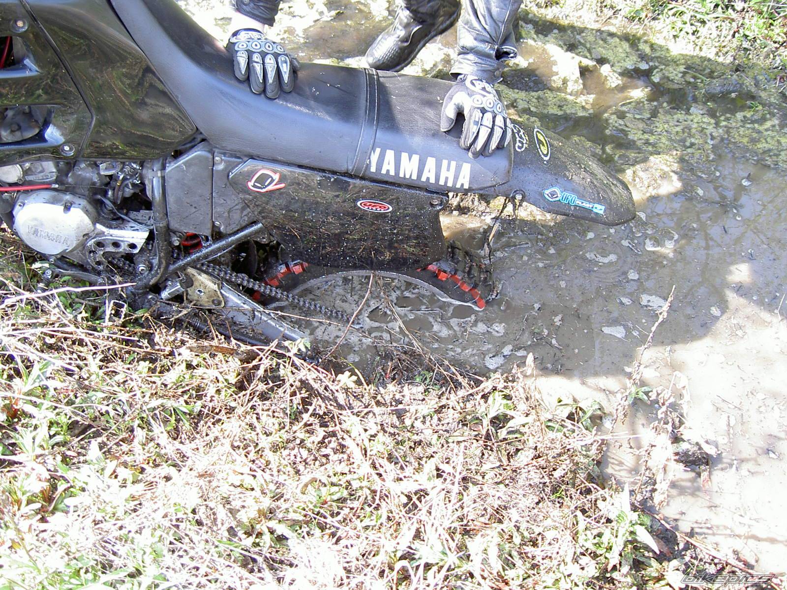 Bike Photo 344323