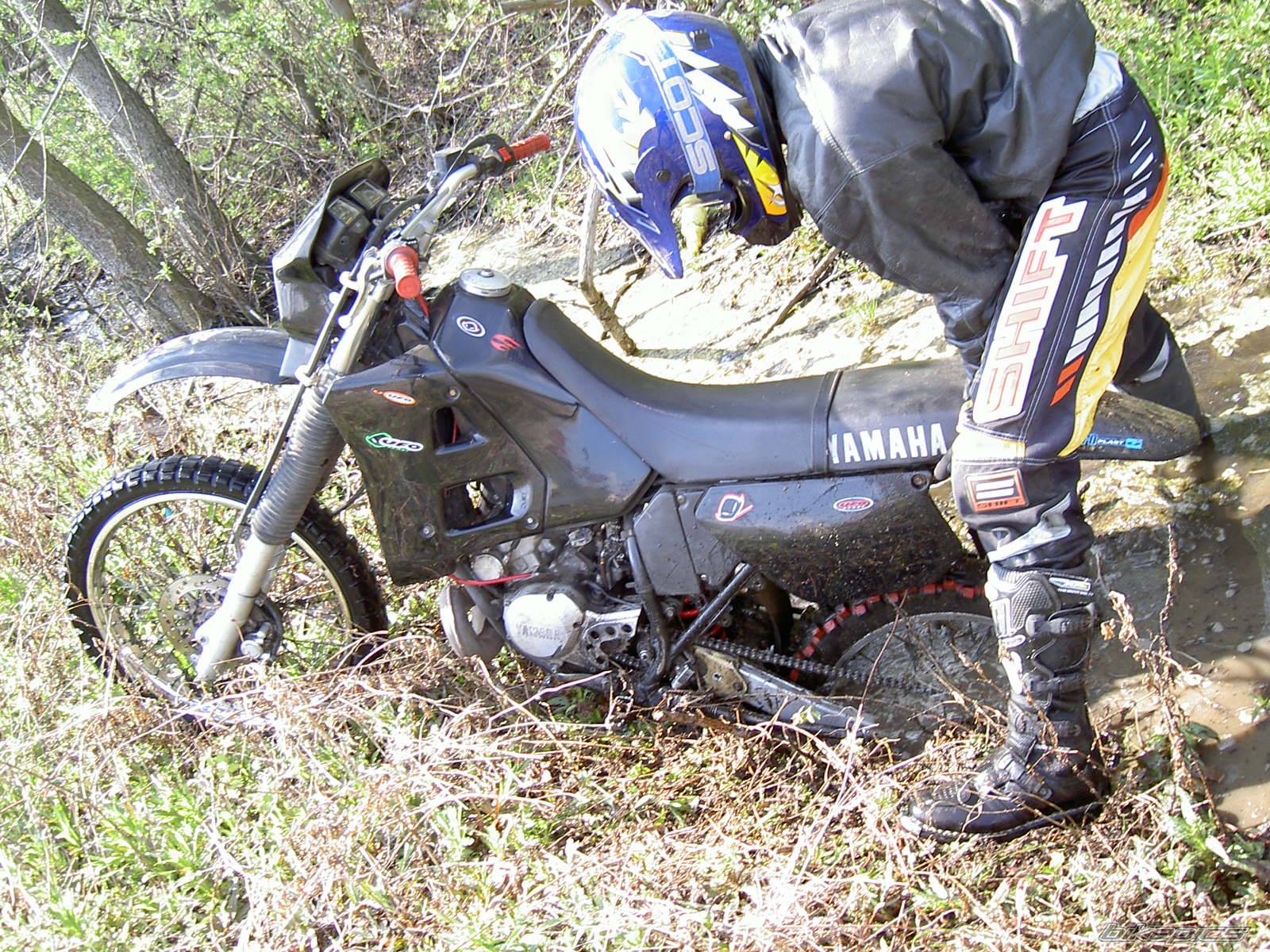 Bike Photo 344326