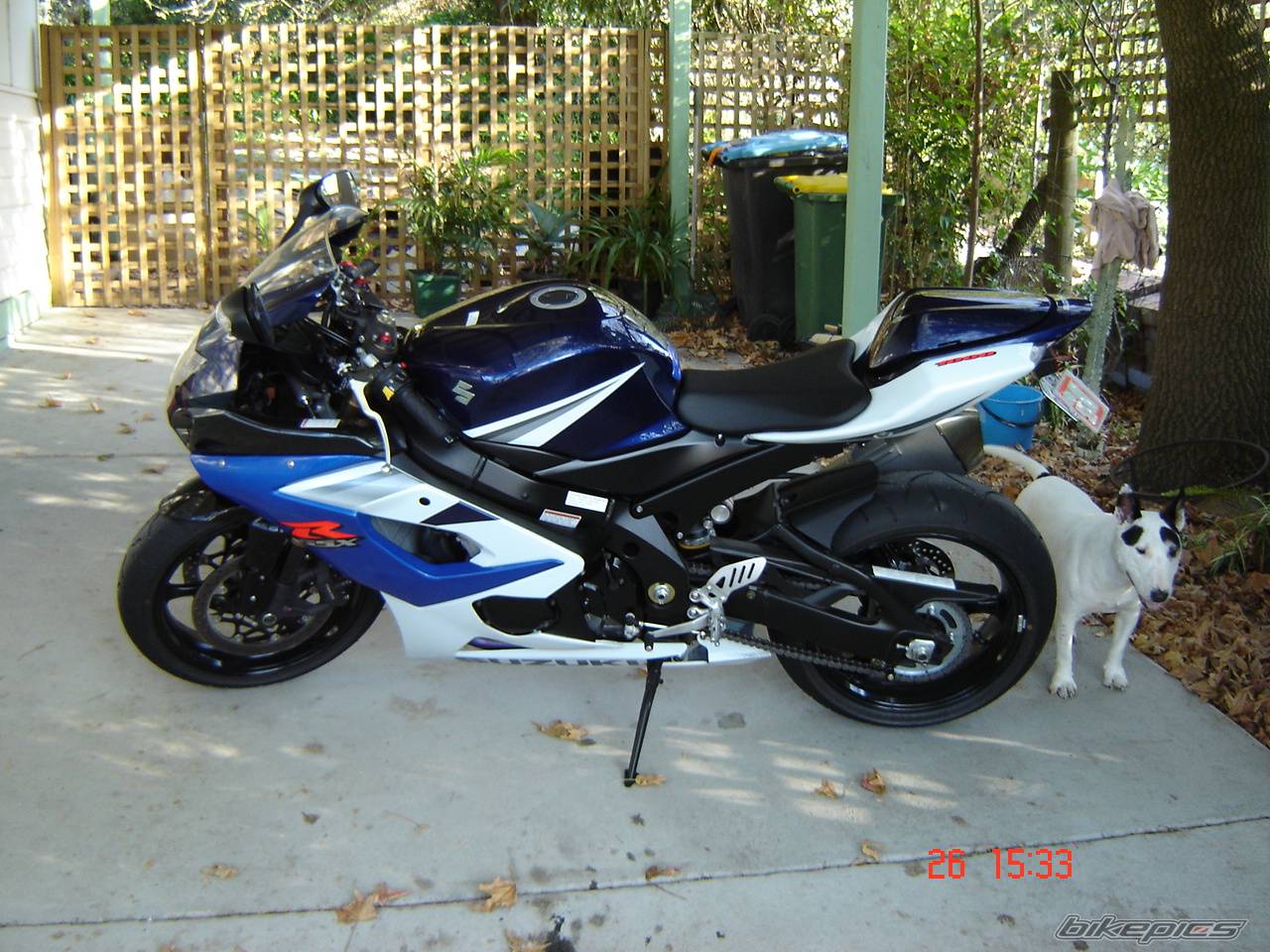 Bike Photo 344372