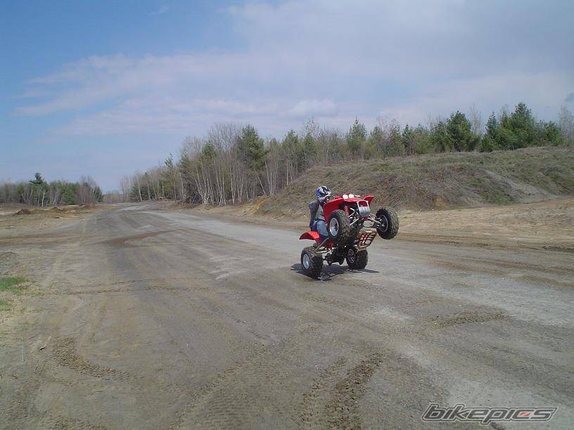 Photo 344572