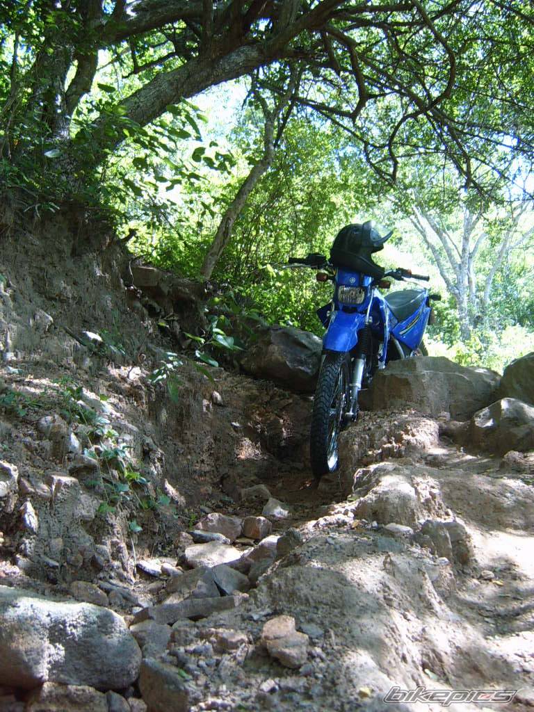 Bike Photo 344604