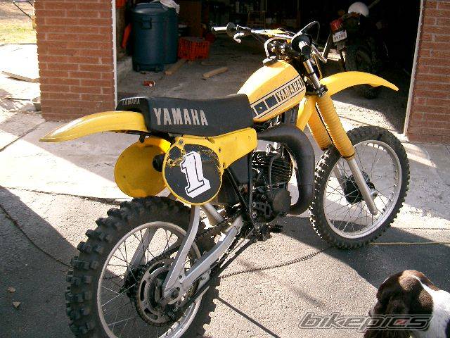 Bike Photo 344619