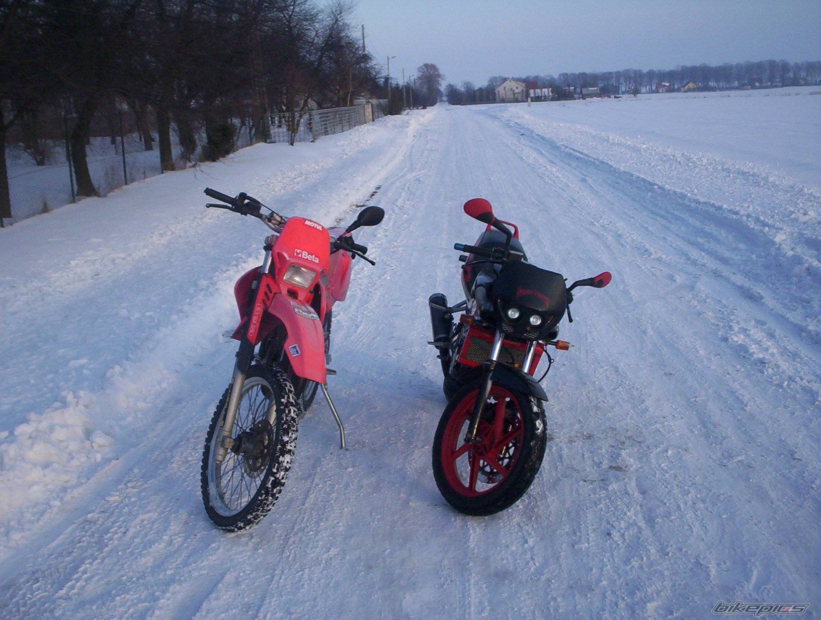 Bike Photo 344739