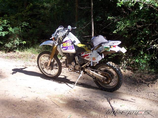 Photo 344765