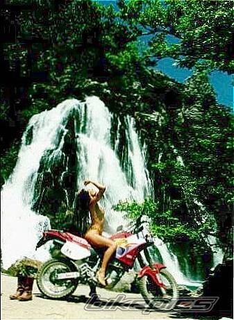 Bike Photo 344785
