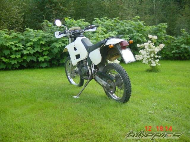 Bike Photo 34479