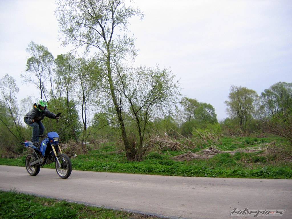 Photo 344811