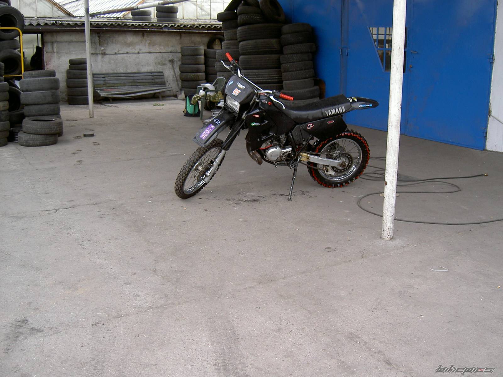Photo 344829