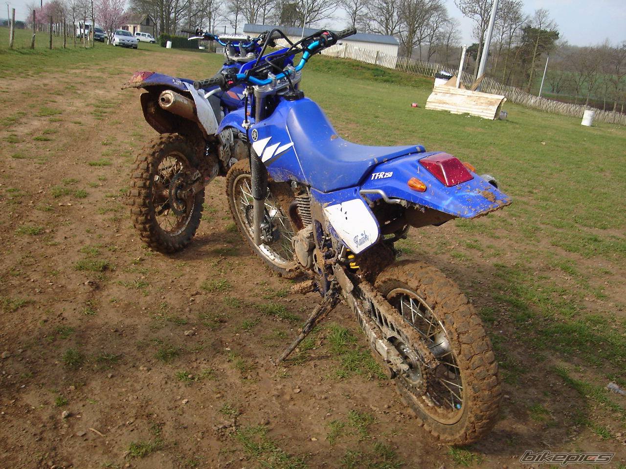 Photo 345010