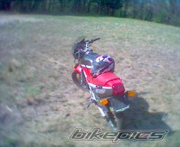 Photo 345138