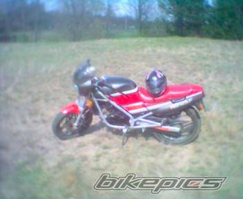 Photo 345139