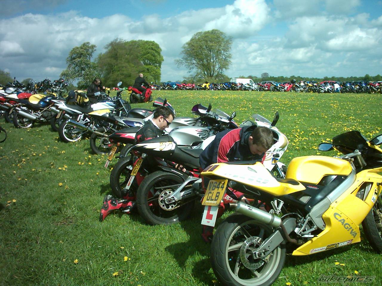 Photo 345203