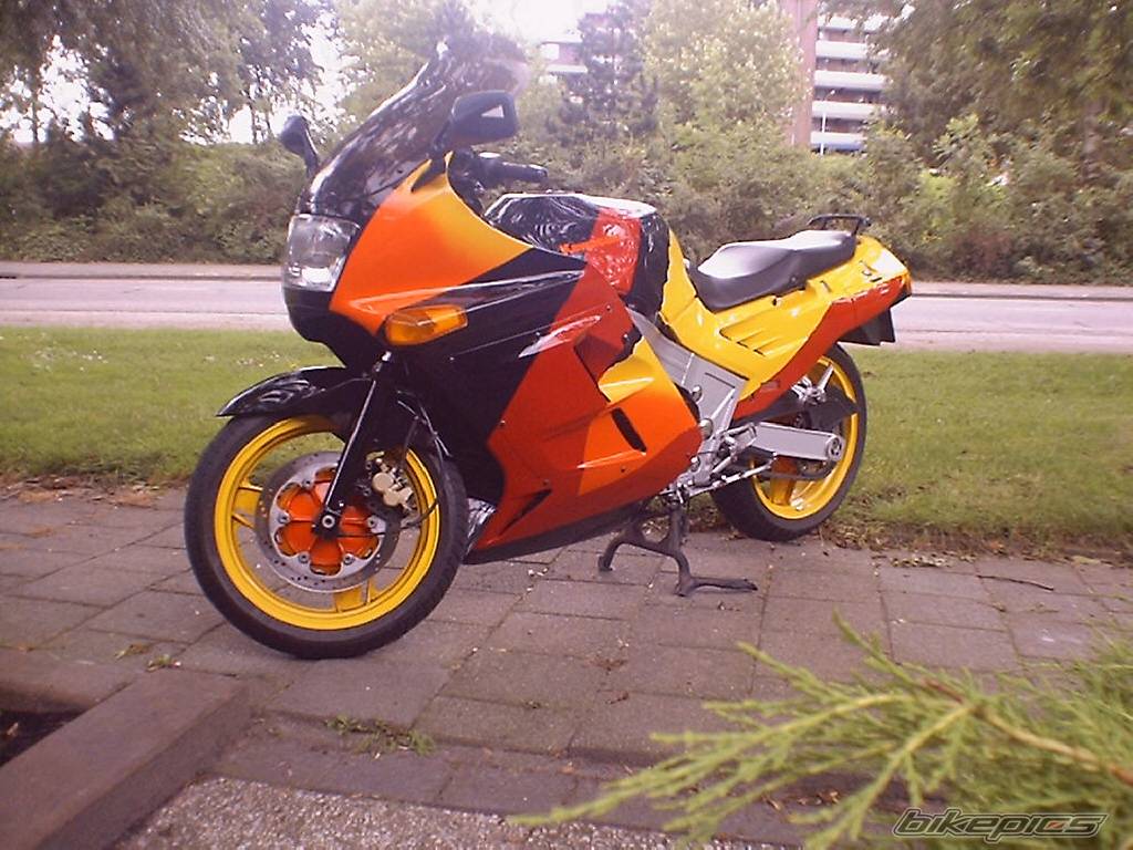 Photo 345261