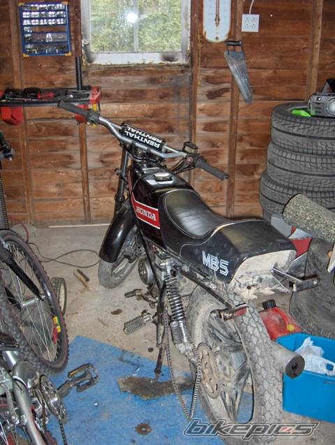 Photo 345307