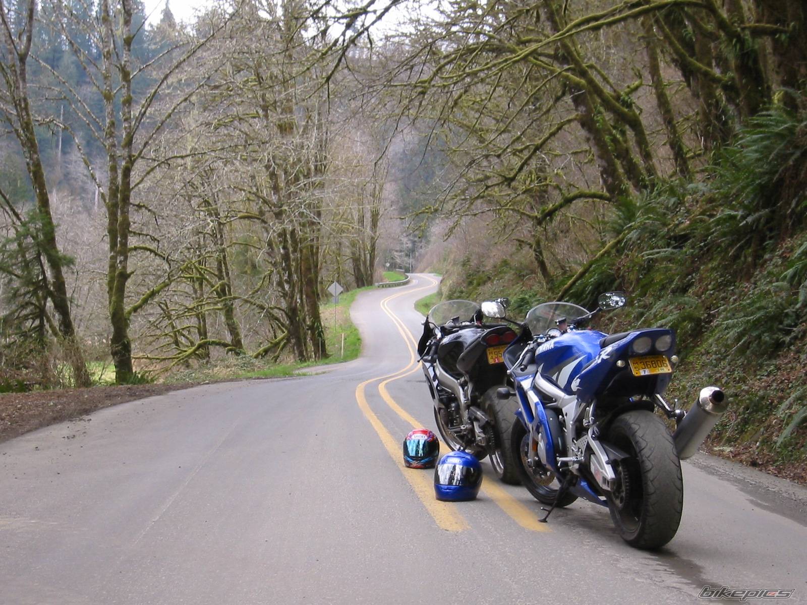 Bike Photo 345357