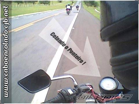 Photo 345402