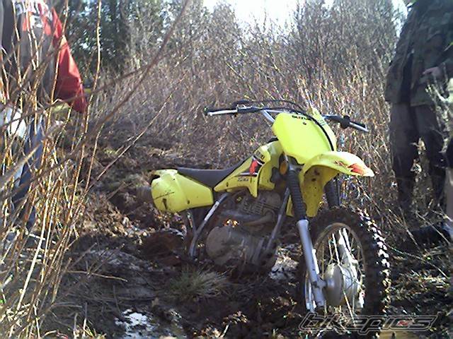 Photo 345474