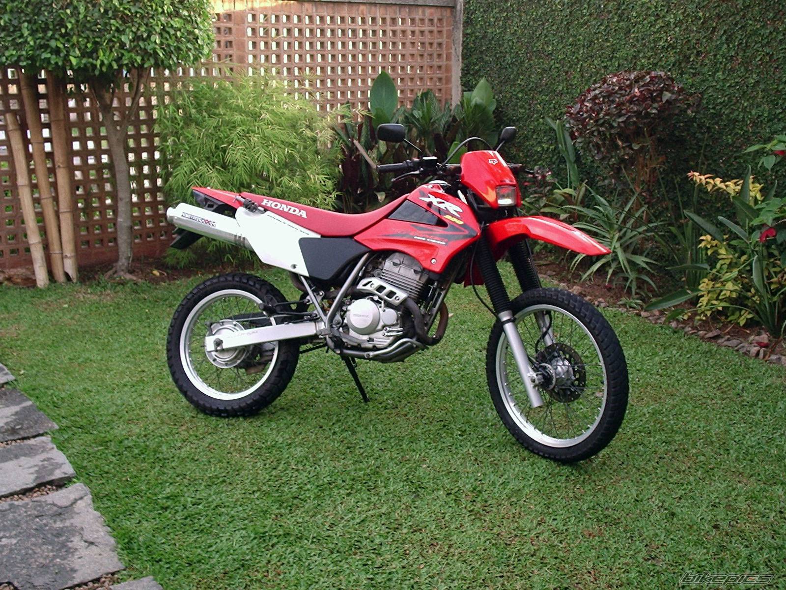 Bike Photo 345500